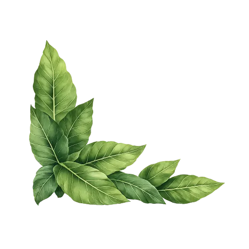 Dekorasi daun tembakau hijau