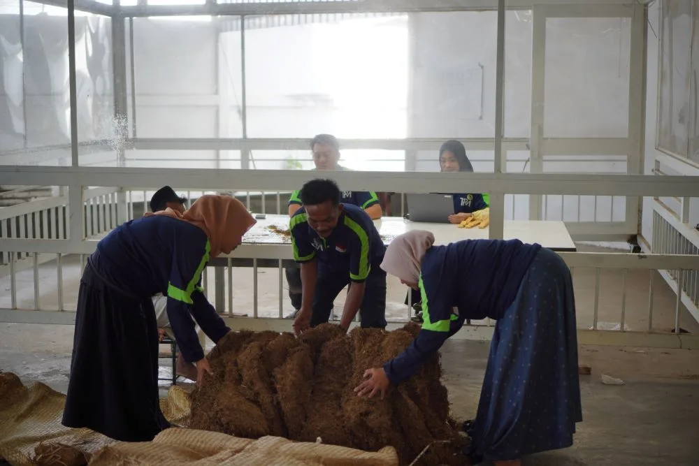 Proses pengecekan tembakau berkualitas
