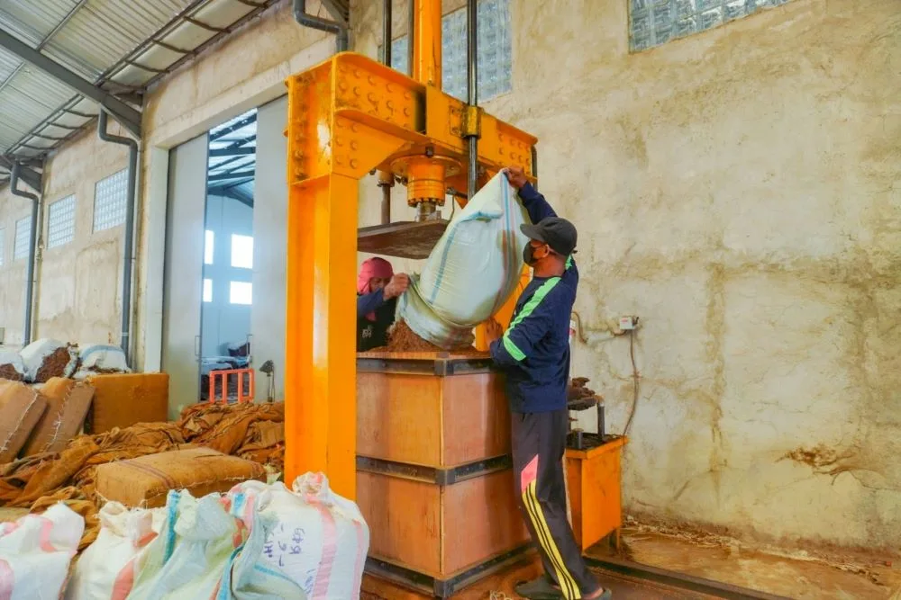 Proses pengepresan tembakau untuk menjaga kualitas dan memudahkan penyimpanan
