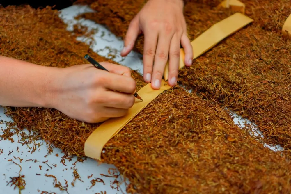 Madura Sun-Cured Shredded Tobacco